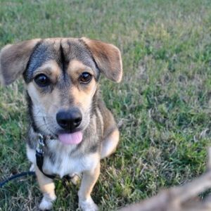 Meet your Posher, Mindy